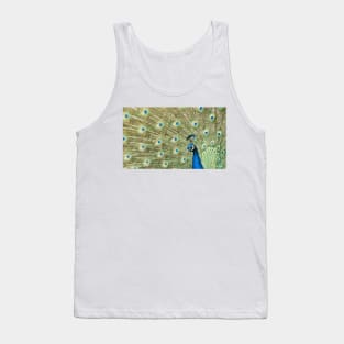 Peacock Display Tank Top